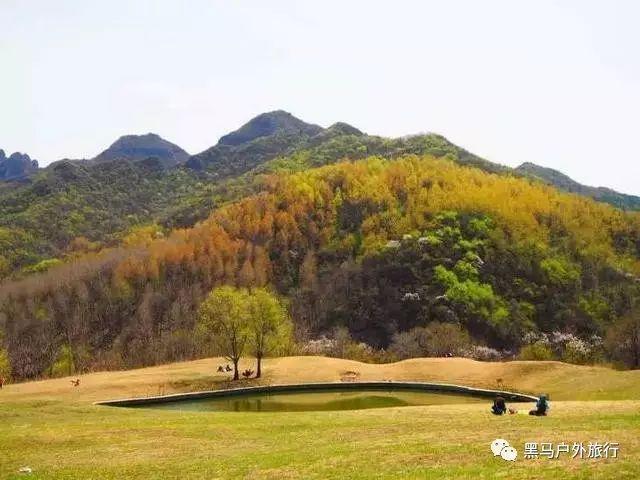 绝地求生